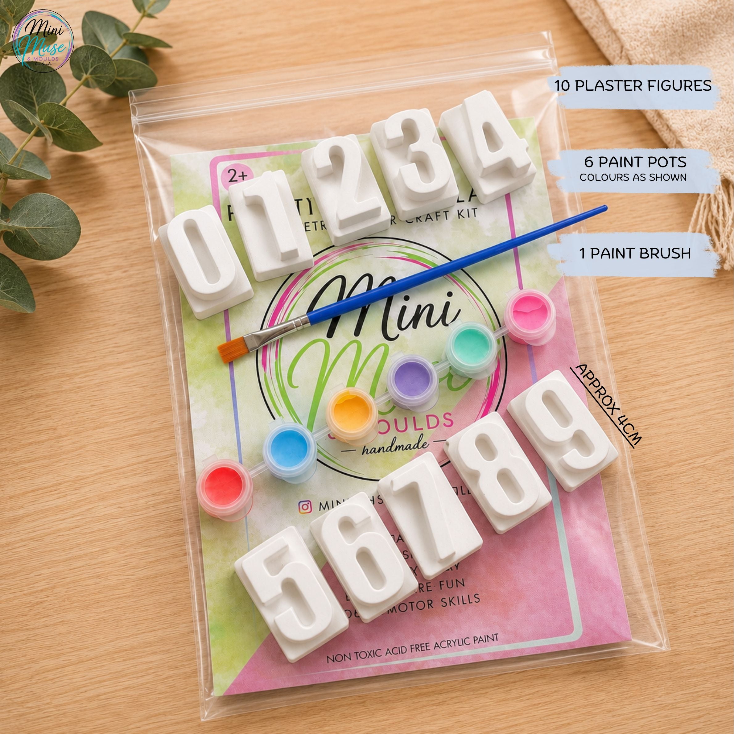 CURIOUS COUNTERS | Ready To Paint Plaster Craft Kit