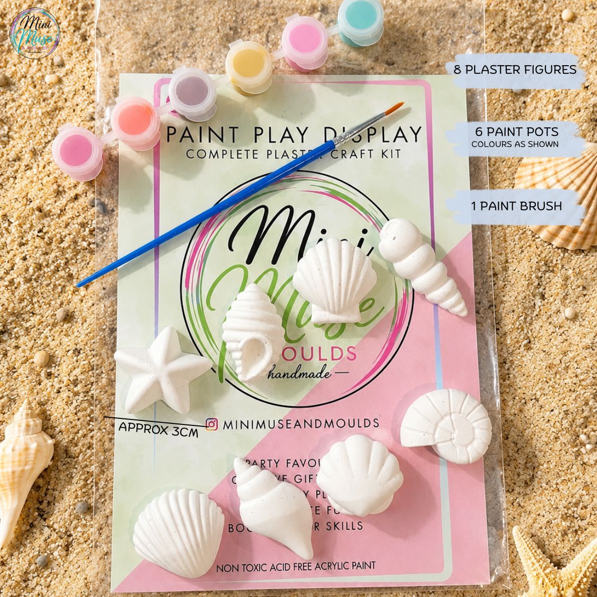 SEASHELLS | Ready To Paint Plaster Craft Kit