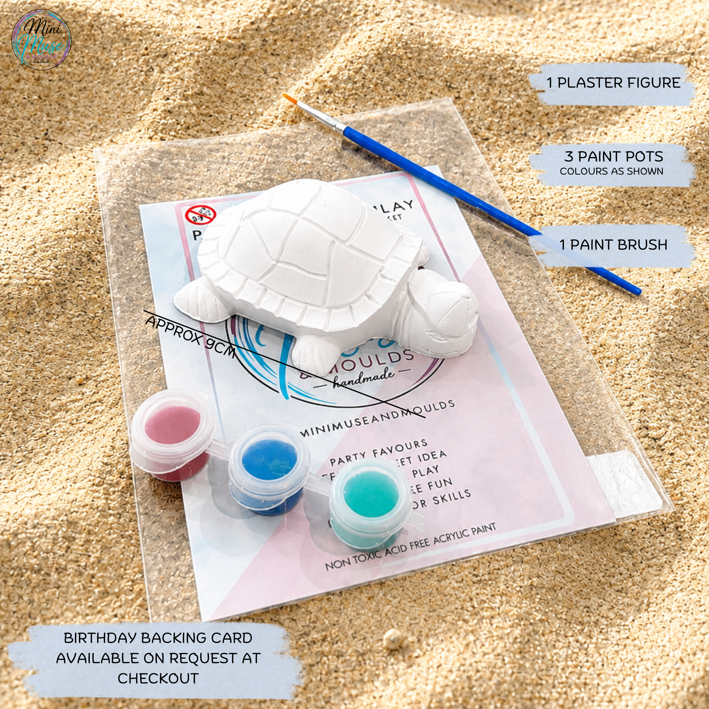 COOL TORTOISE | Ready To Paint Plaster Craft Kit